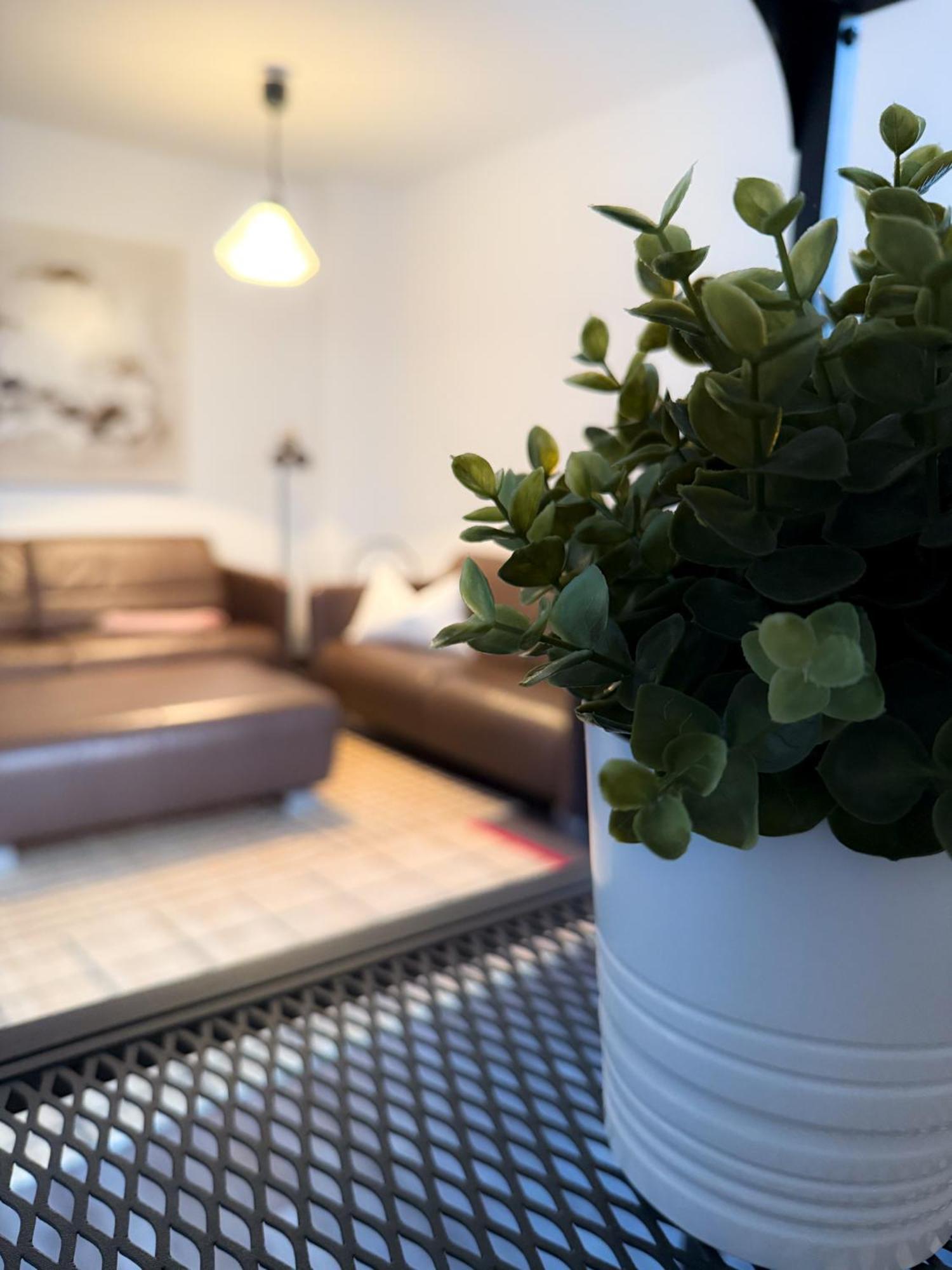 Alexxanders Apartments & Studios Chemnitz Cameră foto